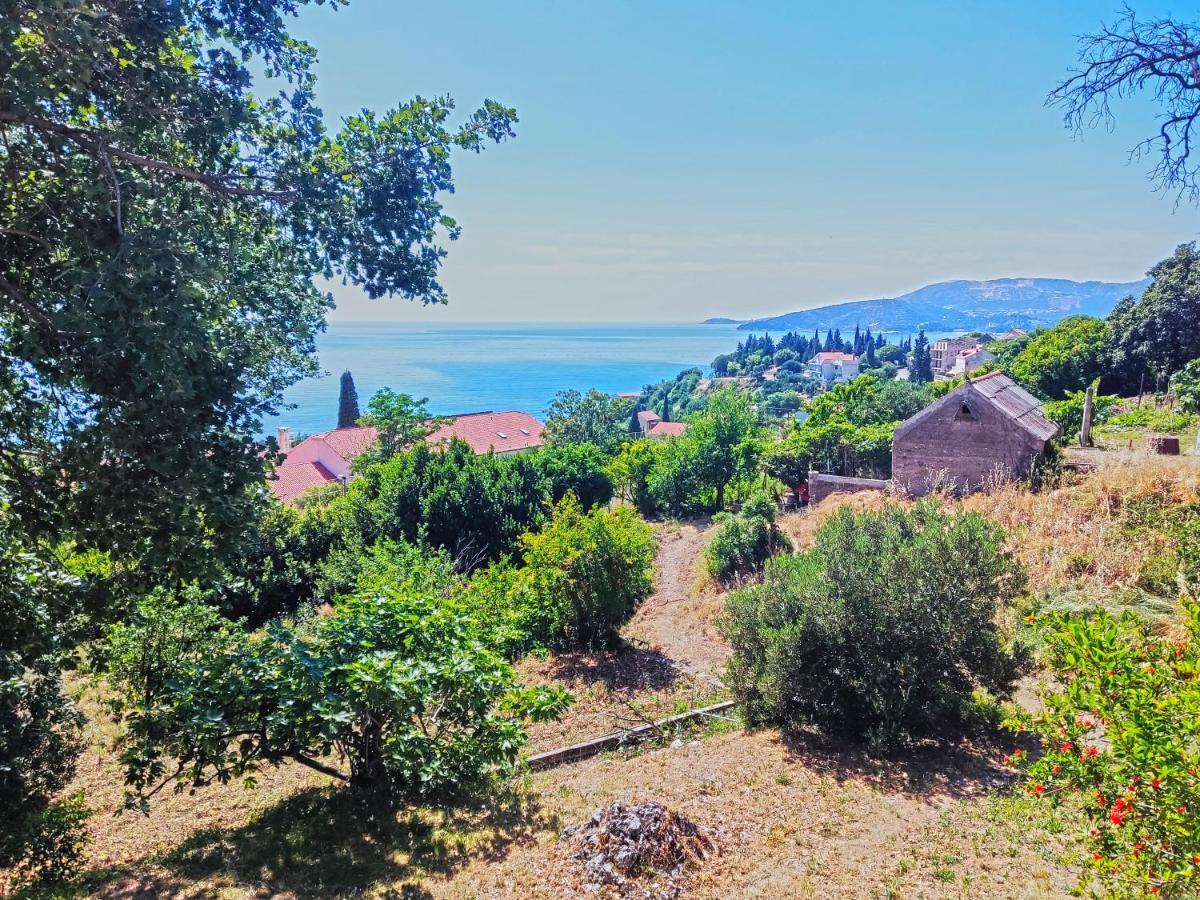 Dubrovnik Moonshine Apartment Mlini Kültér fotó