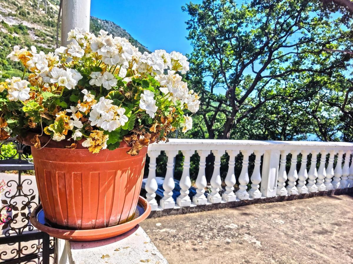 Dubrovnik Moonshine Apartment Mlini Kültér fotó
