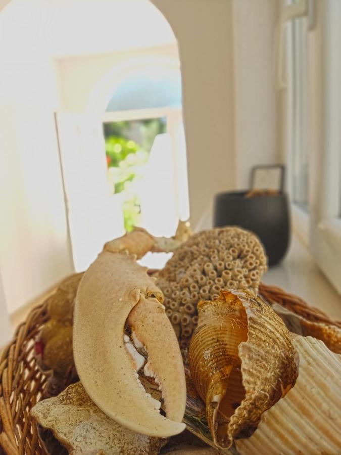Dubrovnik Moonshine Apartment Mlini Kültér fotó