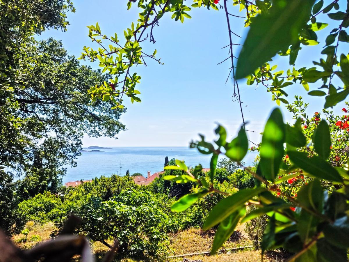 Dubrovnik Moonshine Apartment Mlini Kültér fotó
