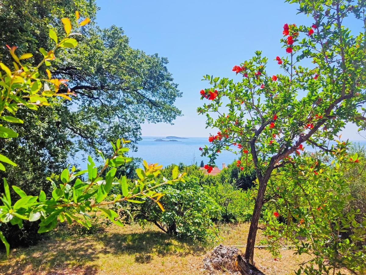 Dubrovnik Moonshine Apartment Mlini Kültér fotó